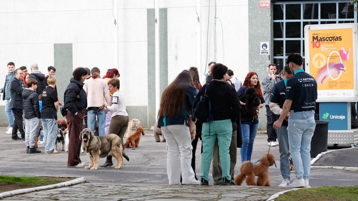 Gijón reúne este fin de semana a miles de amantes de los animales en la gran feria Espacio Mascotas