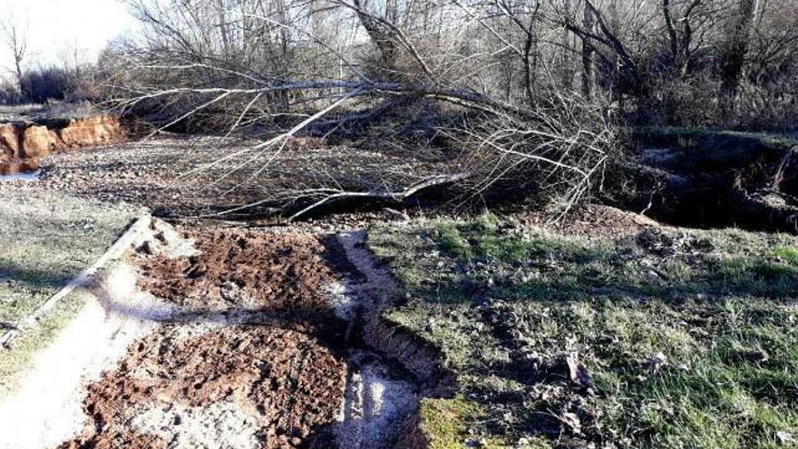 Daños del temporal en San Andrés del Rabanedo.