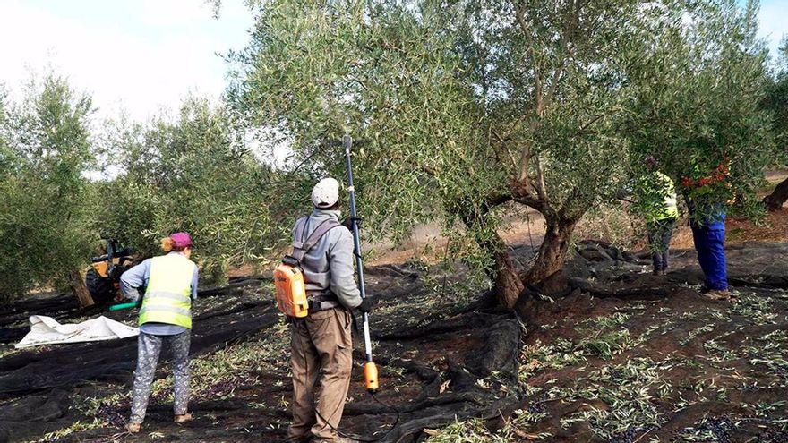 El paro vuelve a subir en Córdoba, aunque hay 4.800 desempleados menos que hace un año
