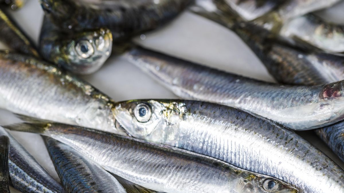 Cómo hacer boquerones en vinagre y los trucos para conseguir que queden perfectos sin apenas esfuerzo