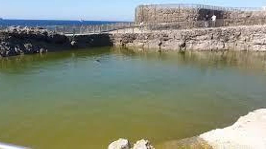 El PRC de Santander reclama el informe del comité de expertos sobre el futuro del minizoo de La Magdalena