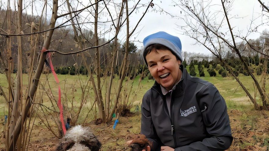 El olfato de Monza y Luca no falla: dos perros descubren nuevos tipos de especies de trufas