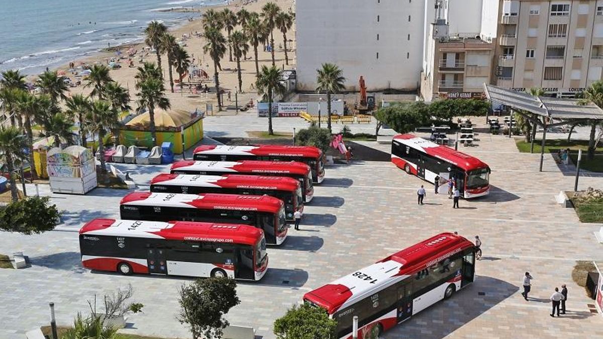 Autobuses de transporte urbano de Torrevieja.