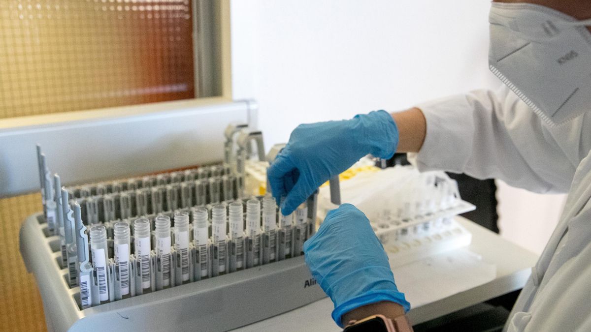 La incidencia acumulada de casos de coronavirus ha descendido este jueves por décima jornada consecutiva hasta los 436,27 por cada 100.000 habitantes en 14 días. EFE/Javier Cebollada/Archivo