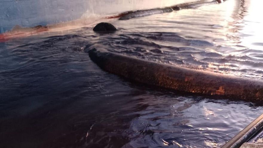 Se produjo un nuevo derrame de petróleo en la ría de Bahía Blanca, a tres semanas de la contaminación en la reserva natural