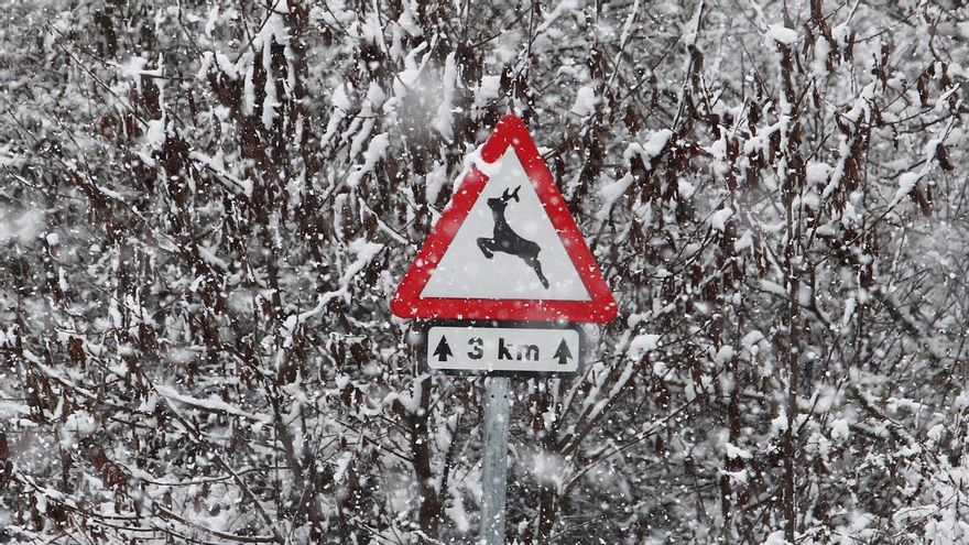 La nieve mantiene este miércoles un puerto con cadenas en la provincia de León y se pide precaución en el Manzanal