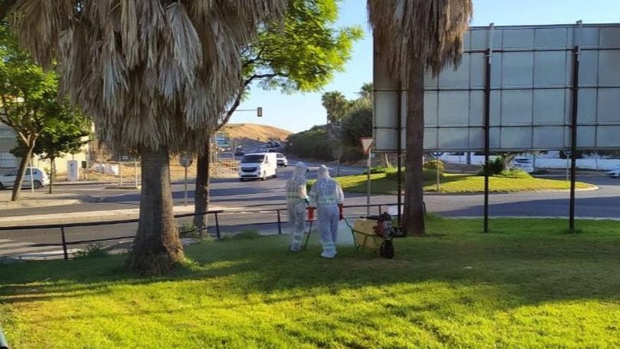 Unos operarios fumigan una zona verde de Coria del Río.