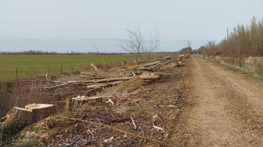 Imagen actual del Canal de Castilla.