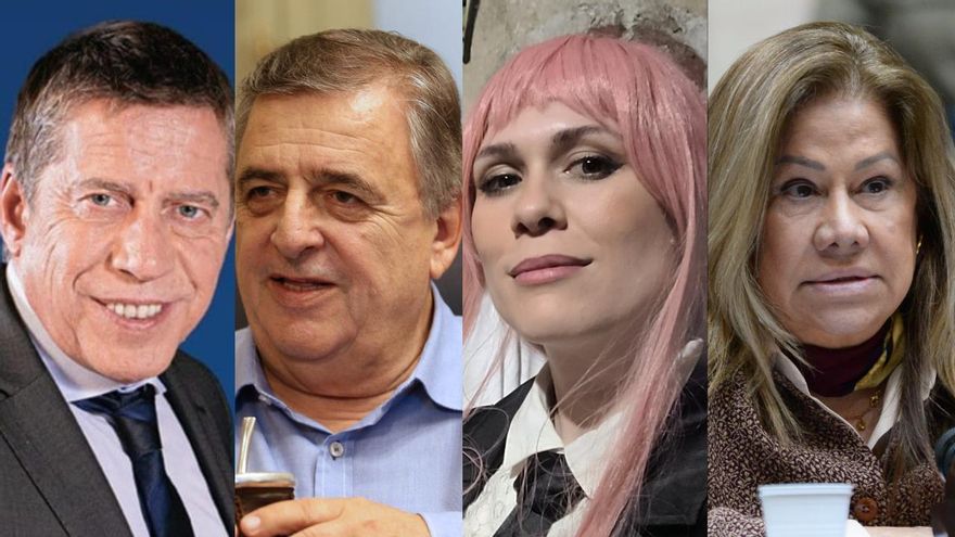 El Congreso que viene: históricos que se despiden, caras nuevas y figuritas repetidas