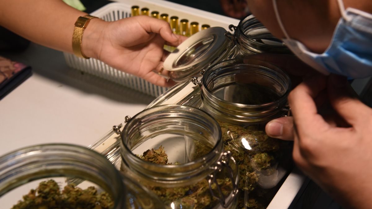 La Audiencia de Alicante tumba la sentencia que condenó sin contraanálisis a un empresario que envió cannabis en avión