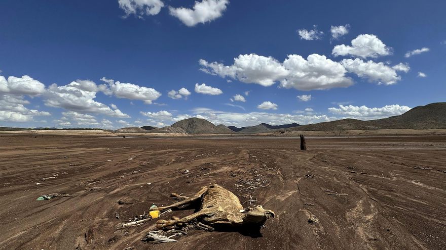 La regeneración de suelo degradado puede revertir la inflación alimentaria en el mundo