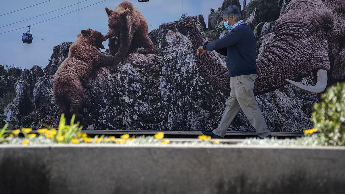 Un vecino de Santander paseo delante de un cartel de Cabárceno durante el estado de alarma. | JOAQUÍN GÓMEZ SASTRE