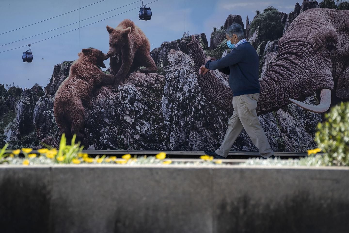 Un vecino de Santander paseo delante de un cartel de Cabárceno durante el estado de alarma. | JOAQUÍN GÓMEZ SASTRE