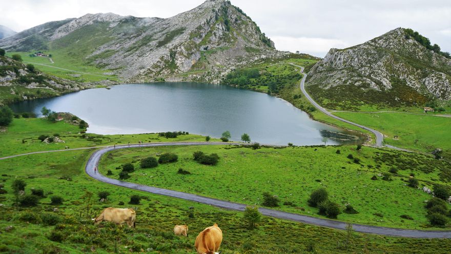 La ruta al pico Jultayu: un sendero con vistas impresionantes en los Picos de Europa