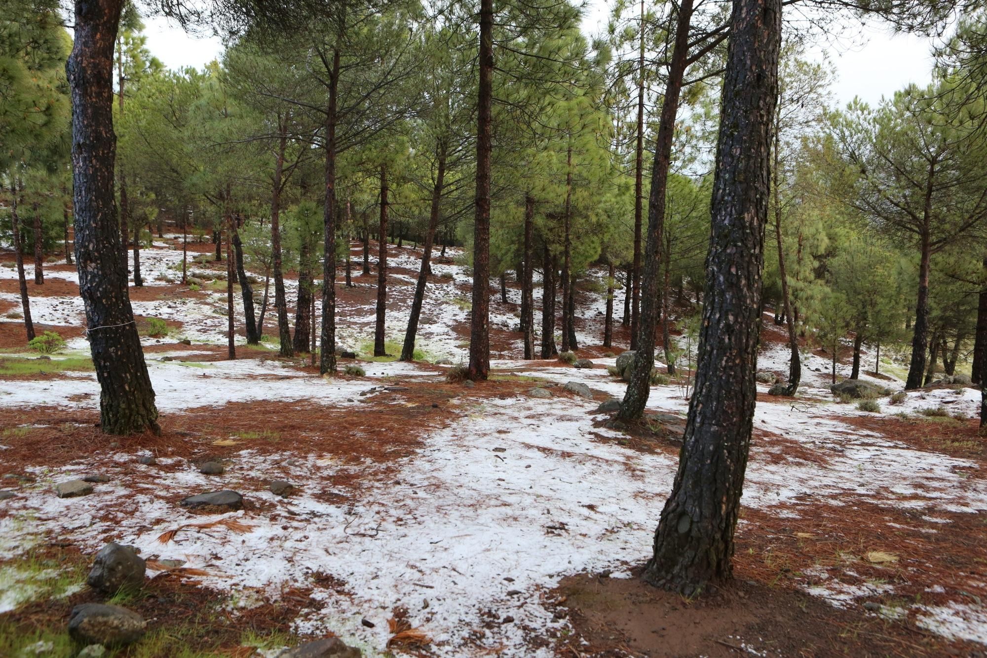 Nieve en el Garañón