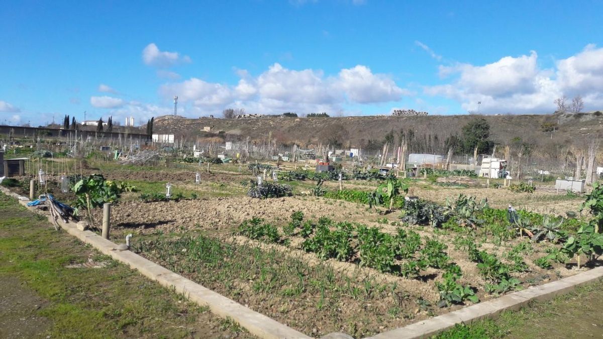 El Gobierno de La Rioja amplía las ayudas para la modernización de explotaciones agrarias hasta los 6,2 millones de euros