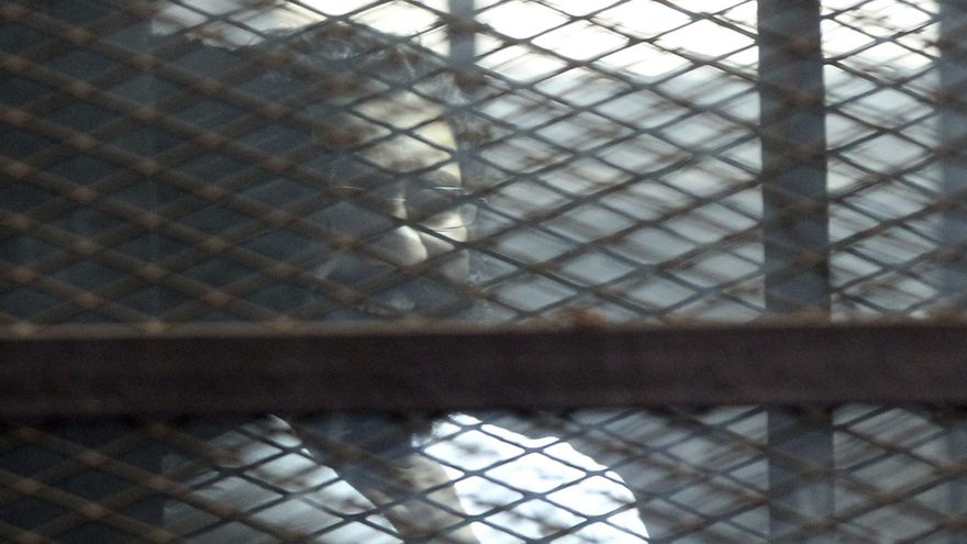 Egipto indulta al destacado activista prodemocracia Alaa Abdelfatah