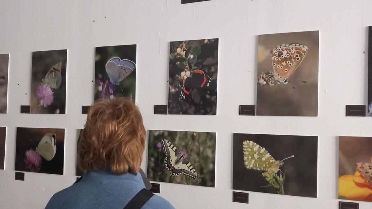 La exposición en Espacio Bellas Vistas