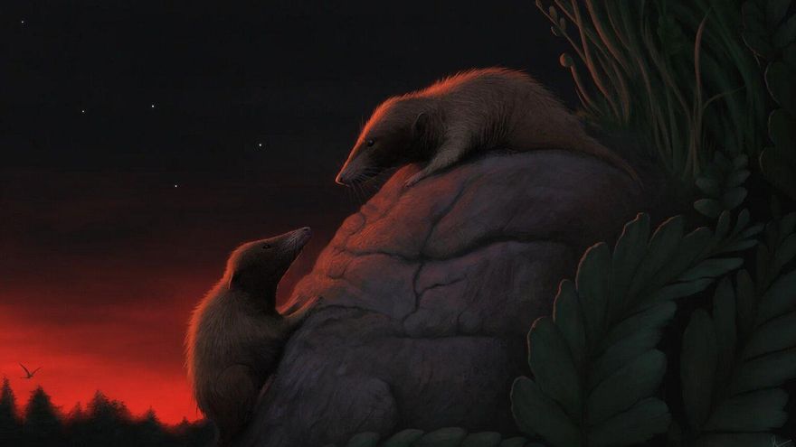 Hallan en Groenlandia uno de los mamíferos primitivos más antiguos, clave para entender el origen de su linaje