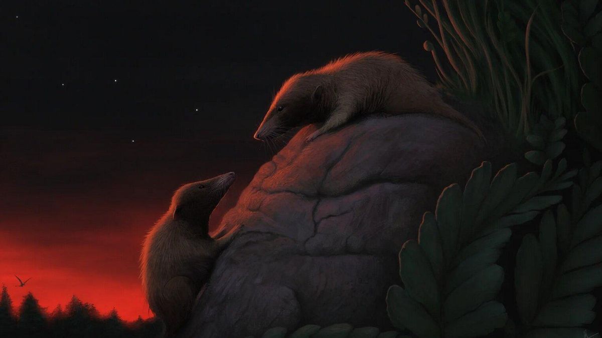 Hallan en Groenlandia uno de los mamíferos primitivos más antiguos, clave para entender el origen de su linaje