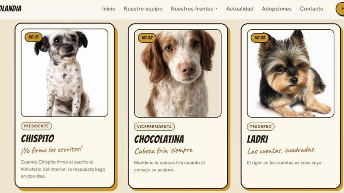 Web de Zeolandia