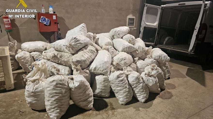 Un detenido y un investigado por cuatro delitos de hurto de ajos y otro de receptación en Las Pedroñeras