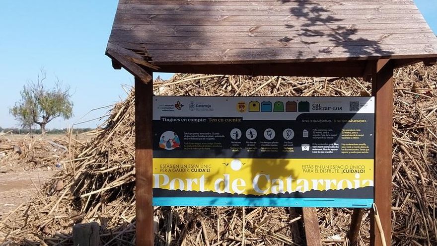 Cañas y barro: el alud de la DANA cubre el puerto de Catarroja en pleno parque de l'Albufera