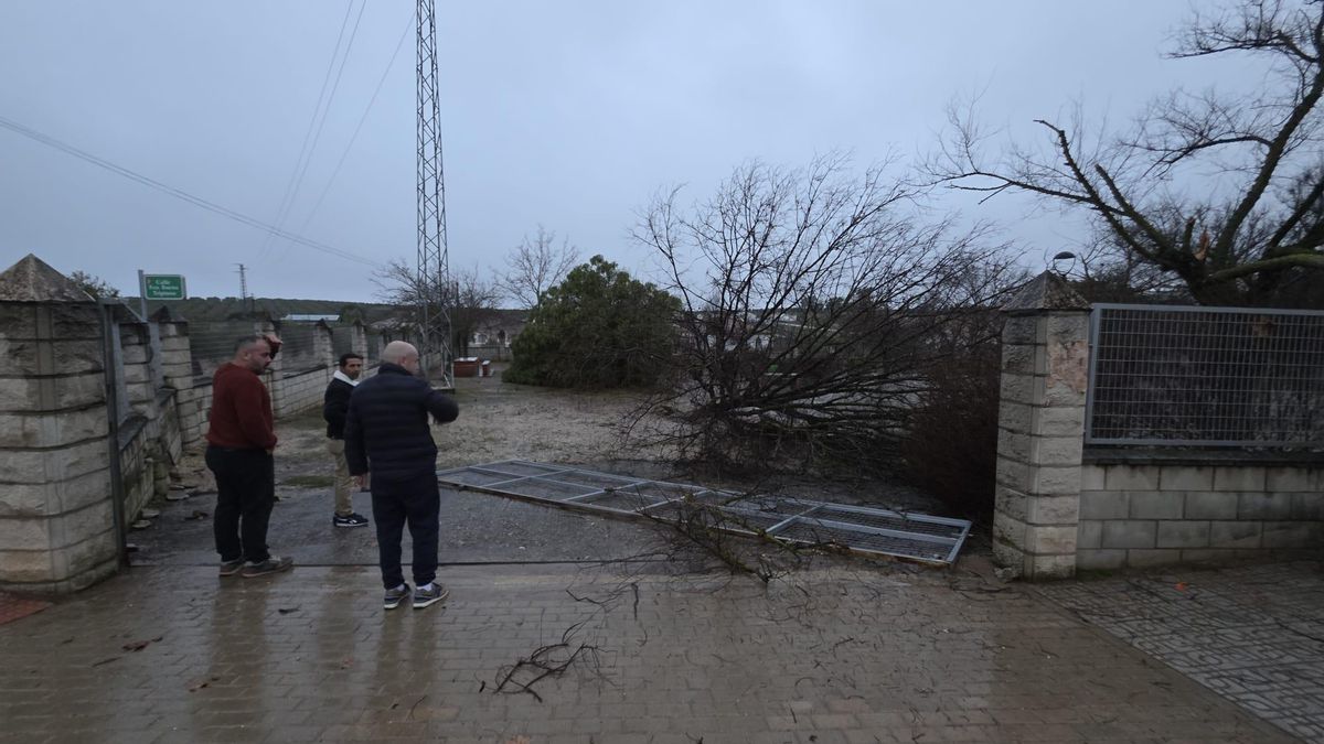 Arboles caídos y otros elementos derribados por el temporal en La Guijarrosa.