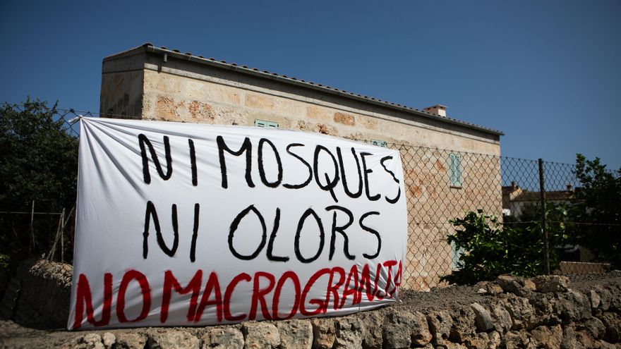 Lluita veïnal davant de la macrogranja de 750.000 gallines que amenaça Mallorca: "És una aberració"