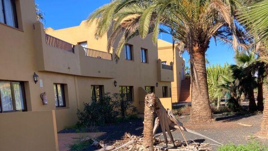 Apartamentos del Oasis Papagayo. (CEDIDA)