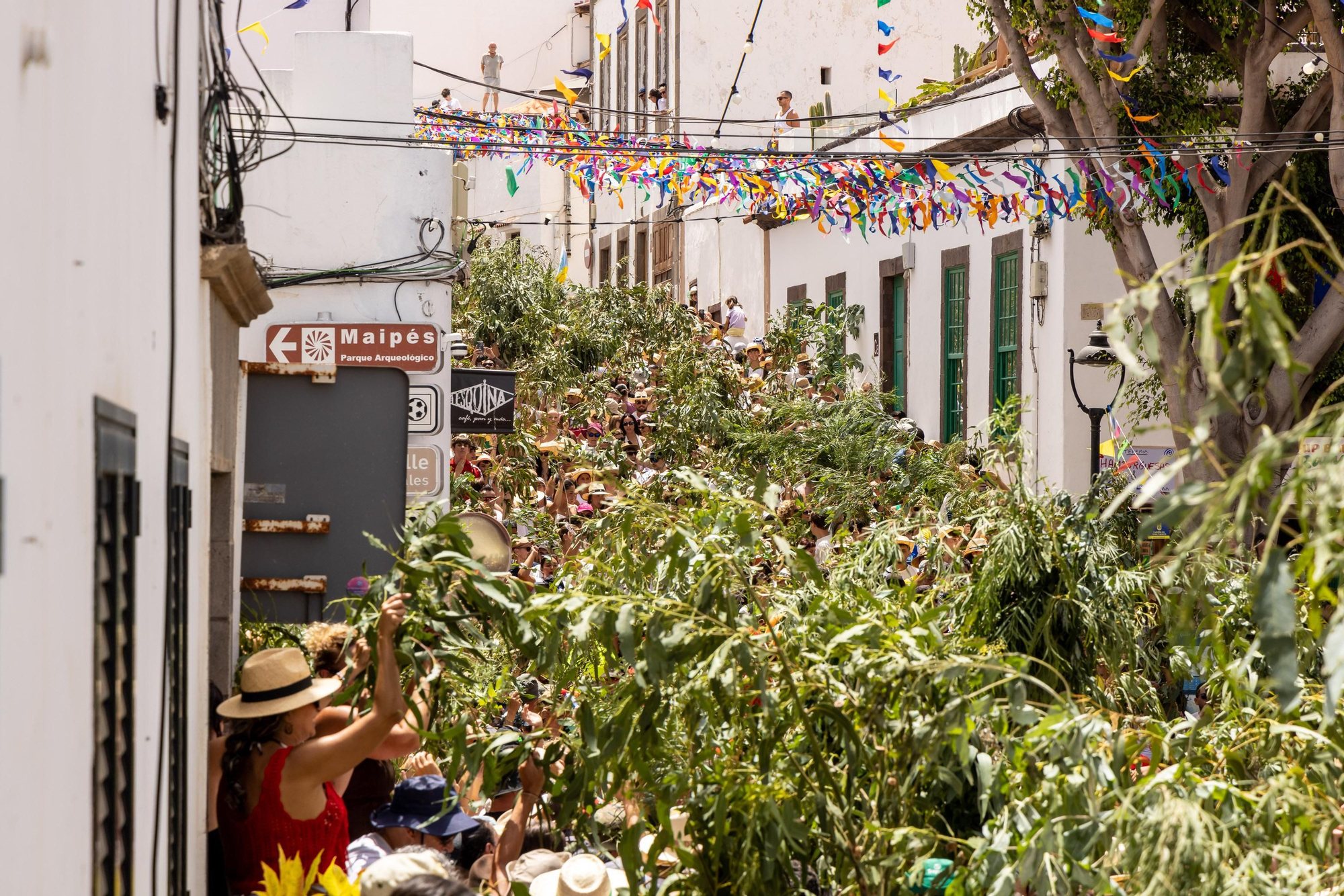 Fiestas de La Rama de Agaete 2026
