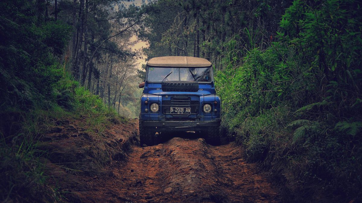 Los modelos de lenguaje funcionan sin comprender lo que dicen