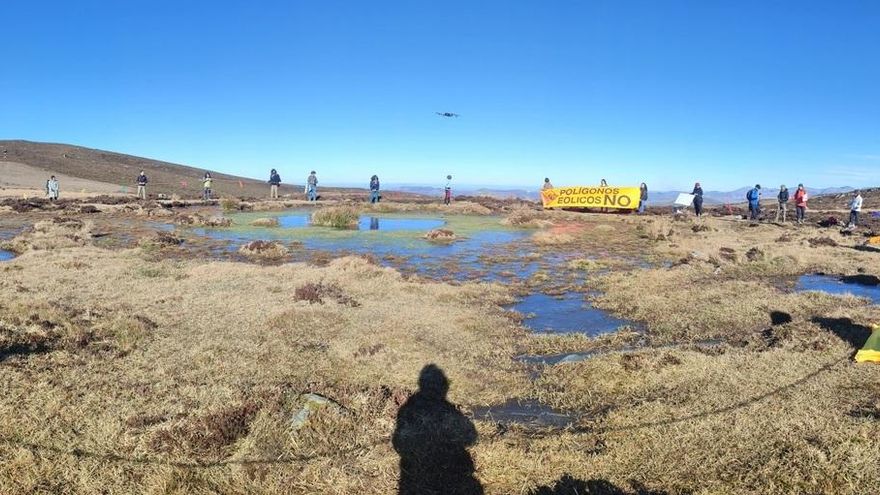 Colectivos Vecinales alertan de la destrucción de flora en peligro de extinción en las obras del polígono de El Escudo