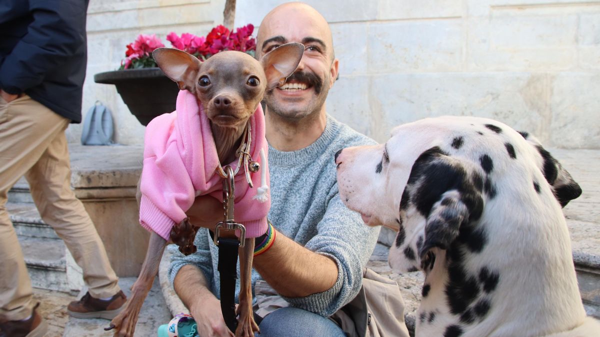 Tarragona censará el ADN de los perros para multar a los dueños que no recojan sus excrementos en la calle