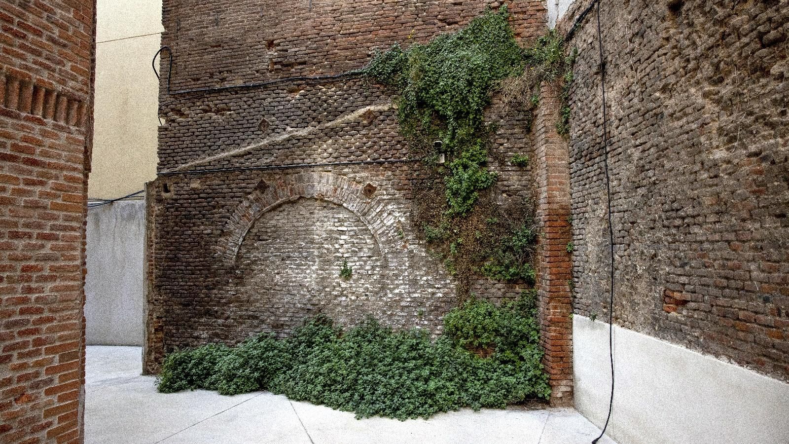 Daños por humedad en el centenario Beti-Jai, la capilla sixtina de la pelota vasca