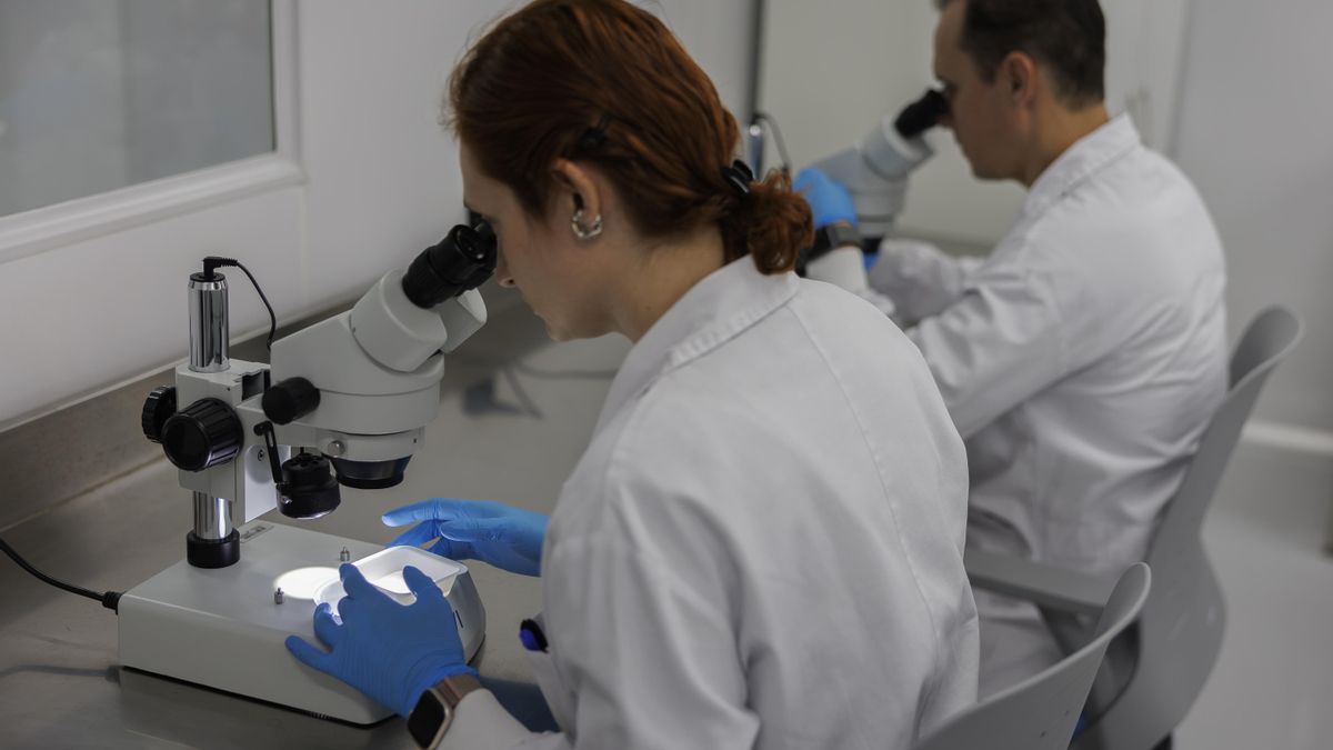 Estos son los servicios mínimos por la huelga del personal técnico superior sanitario en Castilla-La Mancha