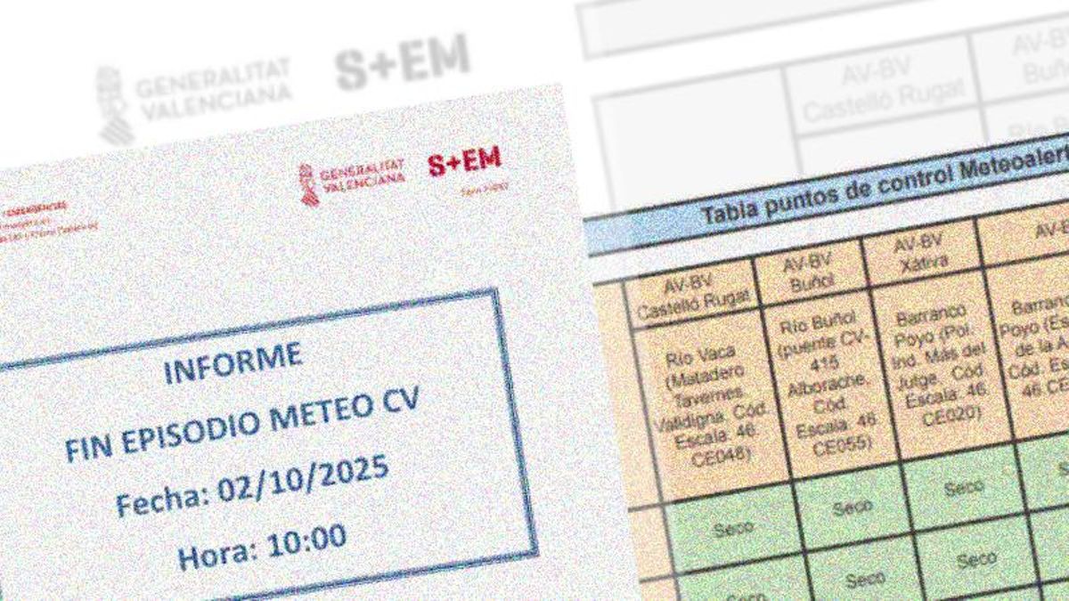 Fragmentos del informe remitido a la jueza de la dana.