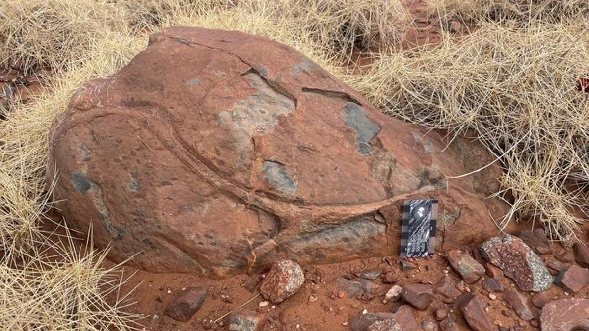 Geólogos descubren que el agua moldeaba el interior de la Tierra hace 3.100 millones de años