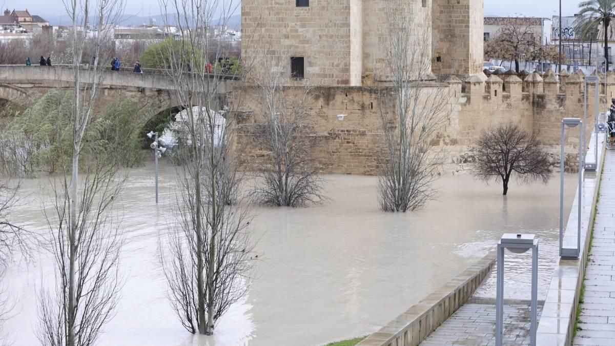 El río Guadalquivir a su paso por Córdoba