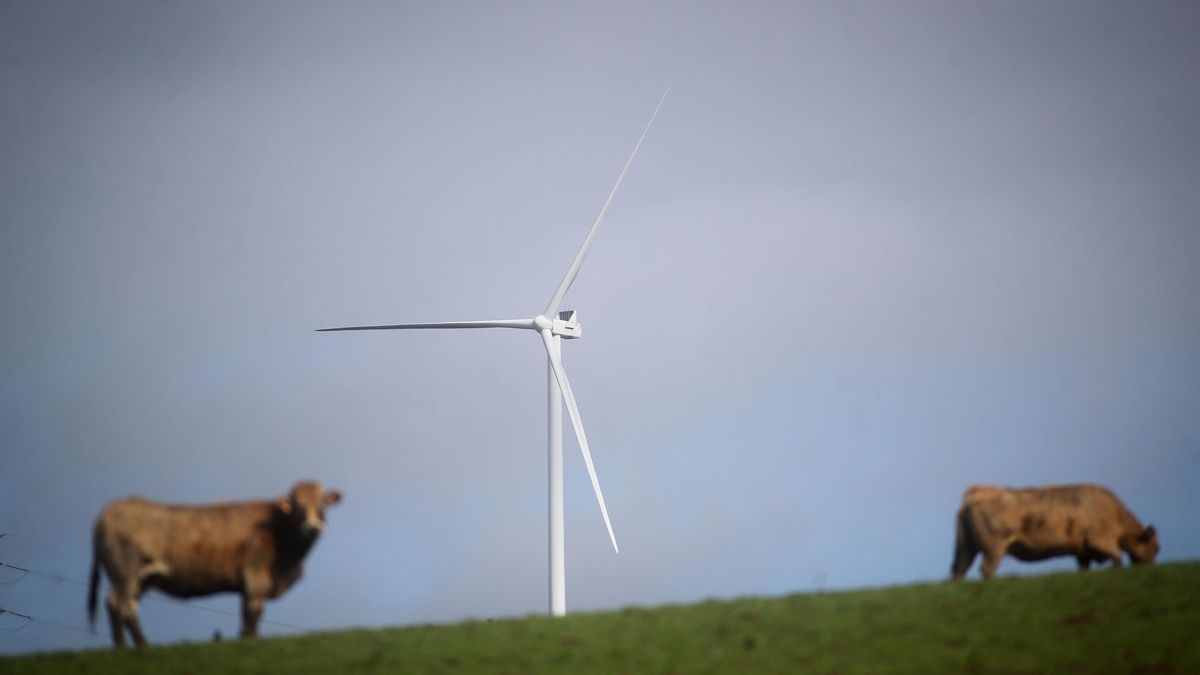 El TSJ de Cantabria anula la autorización y la Declaración de Impacto Ambiental del parque eólico Somaloma-Las Quemadas