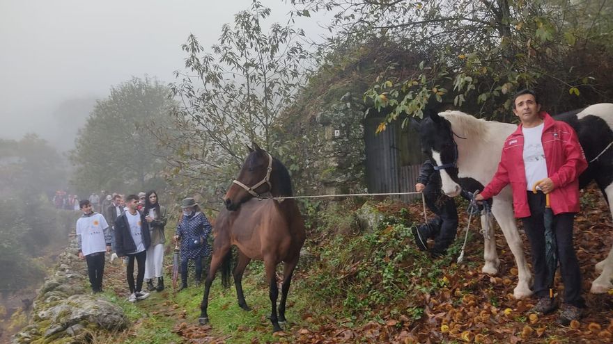 Una imagen de la marcha de protesta