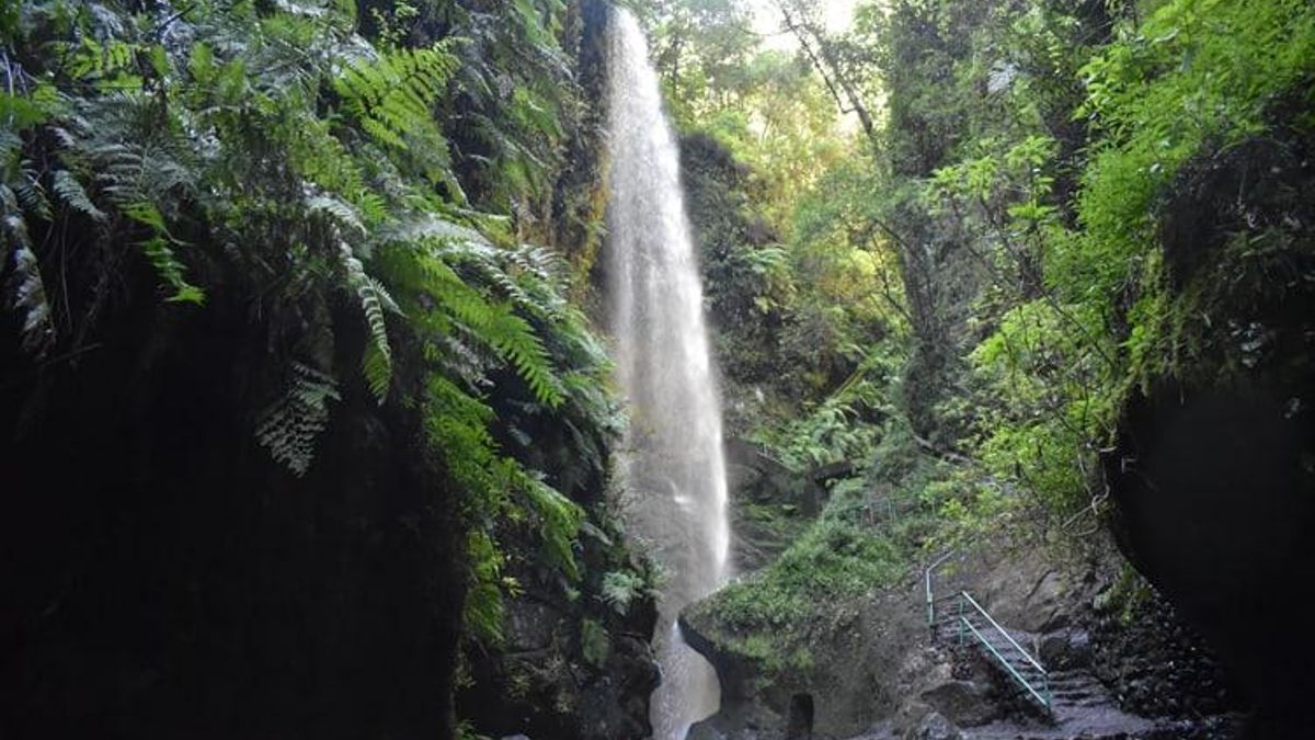 Cascada de Los Tilos.