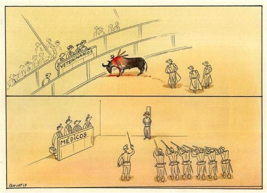 Veterinarios taurinos