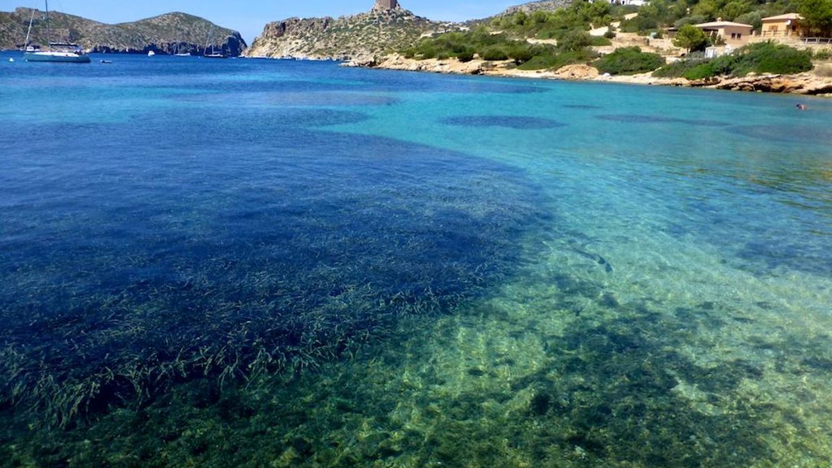 La isla menos conocida de las Baleares: Cabrera, un paraíso de flora y fauna