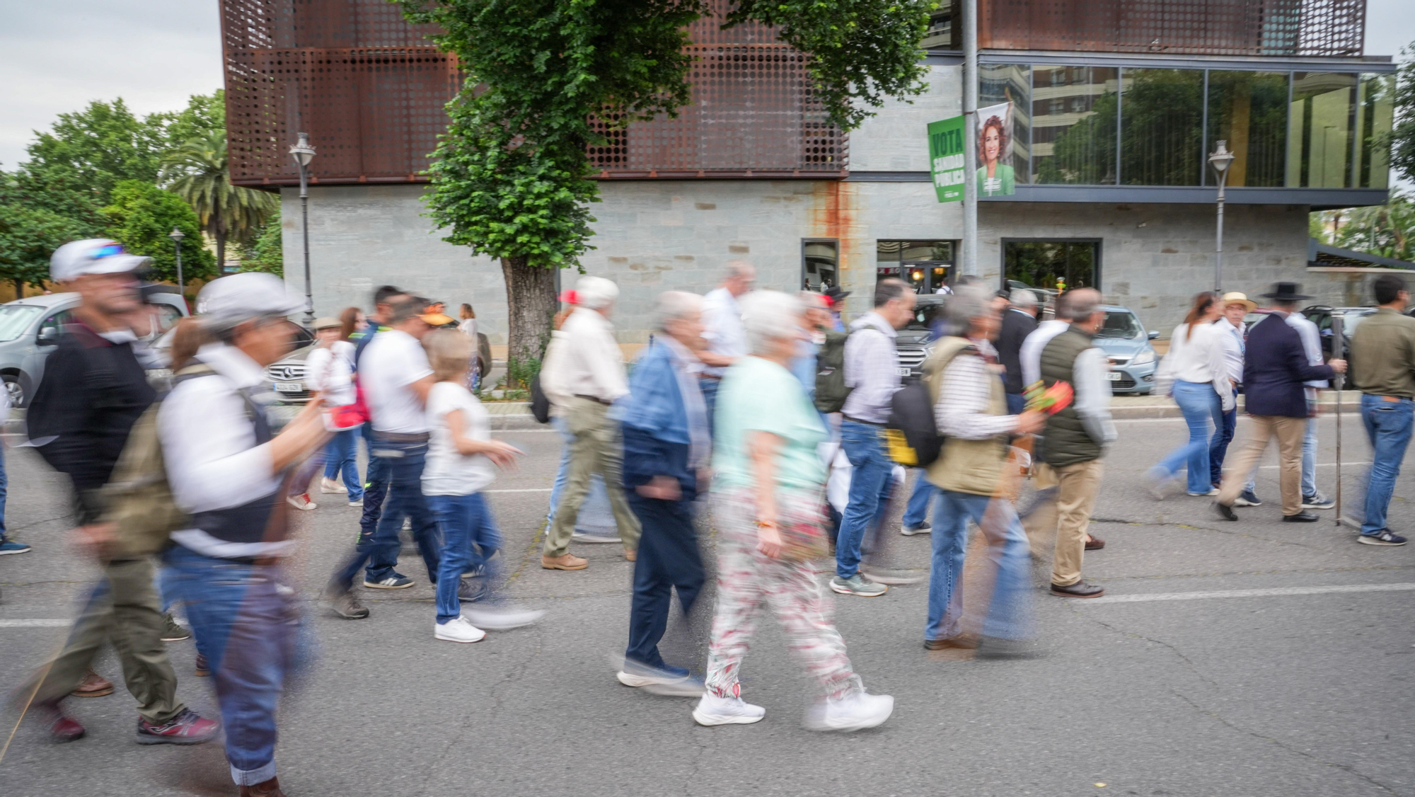 Romería de la Virgen de Linares