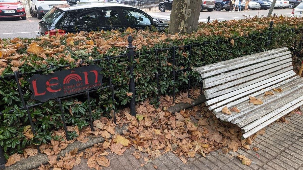 El llamativo otoño en pleno verano que el clima acelera en el paisaje urbano de León