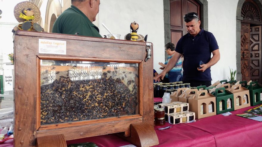 Puesto de productos gastronómicos, con panal, este lunes, en la calle Real de Santa Cruz de La Palma.