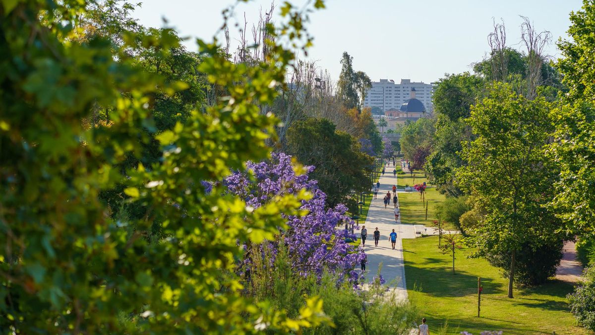 El Jardí del Turia (València) se ha consolidado como un corredor verde donde la práctica del 'running' no solo es habitual, sino que empieza a estructurarse mediante señalizaciones y recorridos reconocibles.