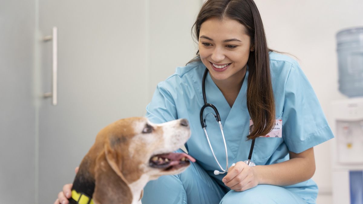 Imagen de archivo veterinaria