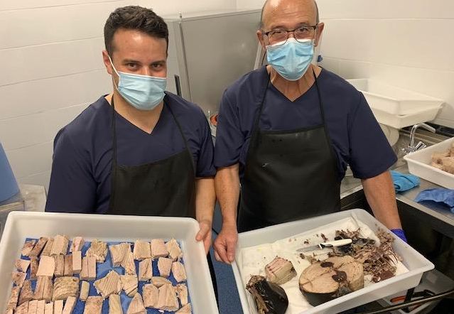 Luis y Francis Toledo